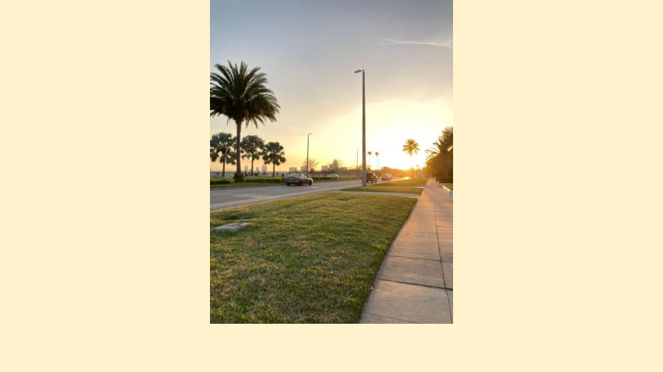 Image for Walking to the sunset (Physical)
